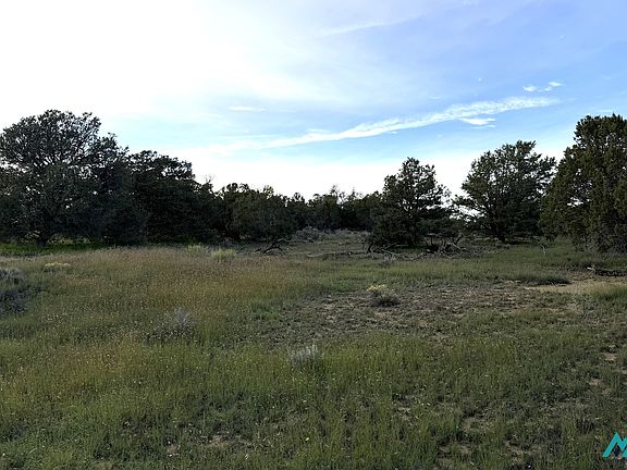 3rd image of 136 Ponderosa View Loop #18