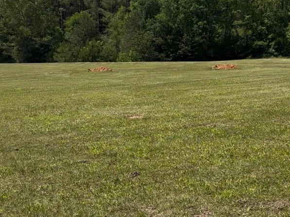Debra Ln #1, Dora, AL 35062