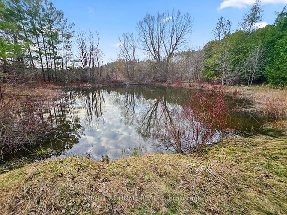 4th image of 16568 Mount Hope Rd