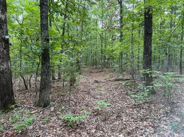 000 H Highway, Van Buren, MO 63965