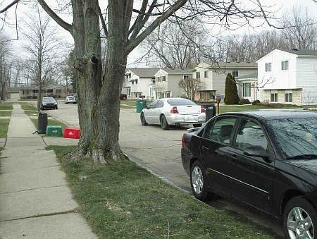 4th image of 24695 Orchid St