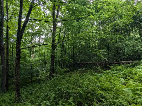 0 Dover Road, Newfane, VT 05351