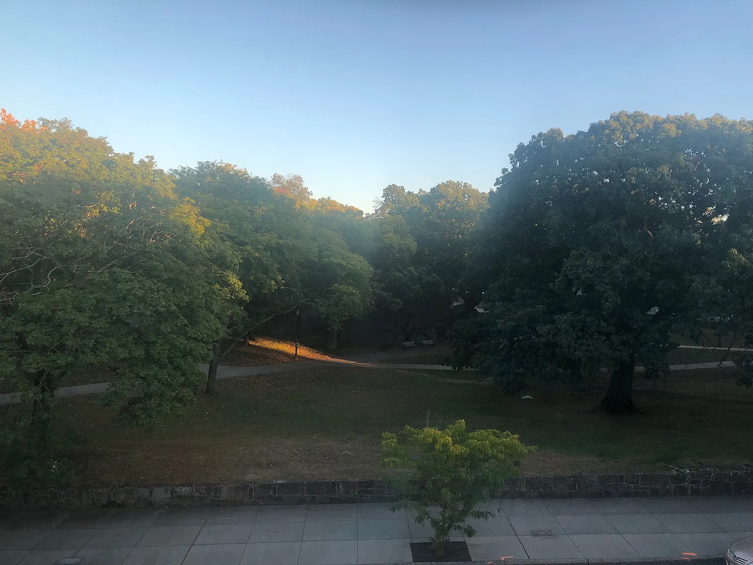 2 bed, 1000 sqft, $2,700 — Photo 3