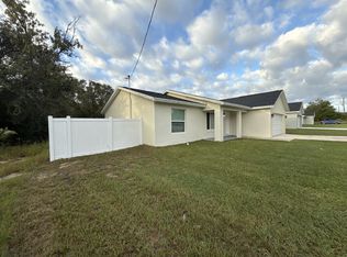 294 Malauka Run, Ocklawaha, FL 32179