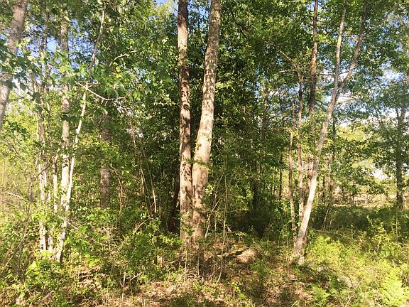 hardwoods in middle property