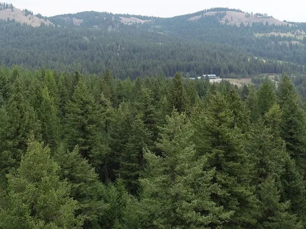 111 TBD Wannamaker rd, Oroville, WA 98844