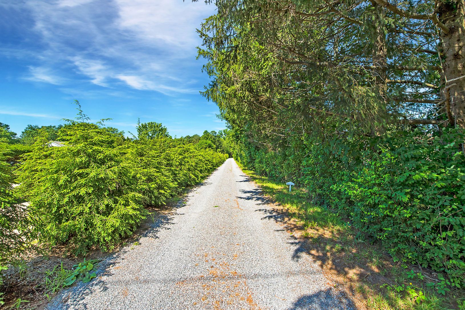  Long and Private Driveway Home