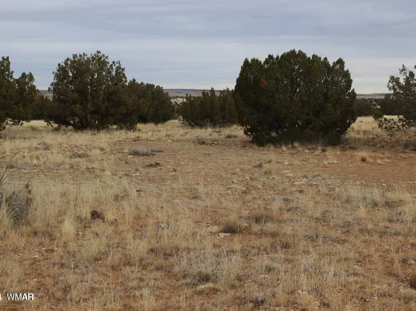 2131 Pinion Rd, Heber, AZ 85928