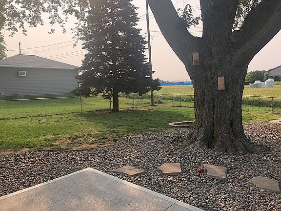 Great fenced yard and trees