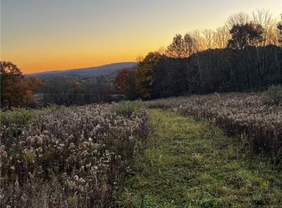 702 High Bridge Rd LOT 11, Mount Upton, NY 13809