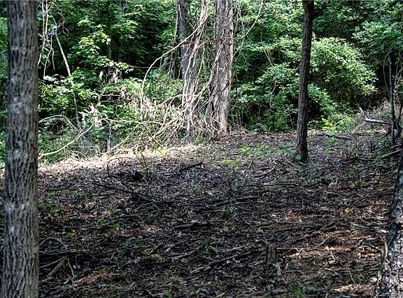 4th image of 0 Hilltop Dr