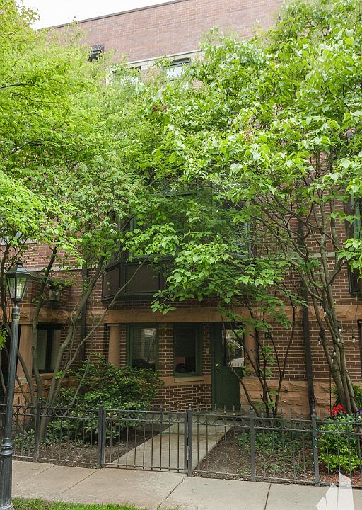 1st image of 1351 W Altgeld St APT 1