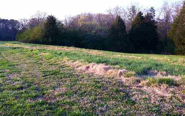 1st image of LOT 36 County Road 7030