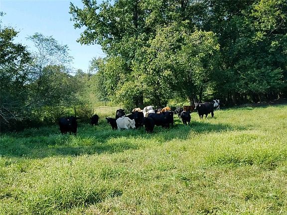 4th image of 1420 W Highway 166 Lot 0