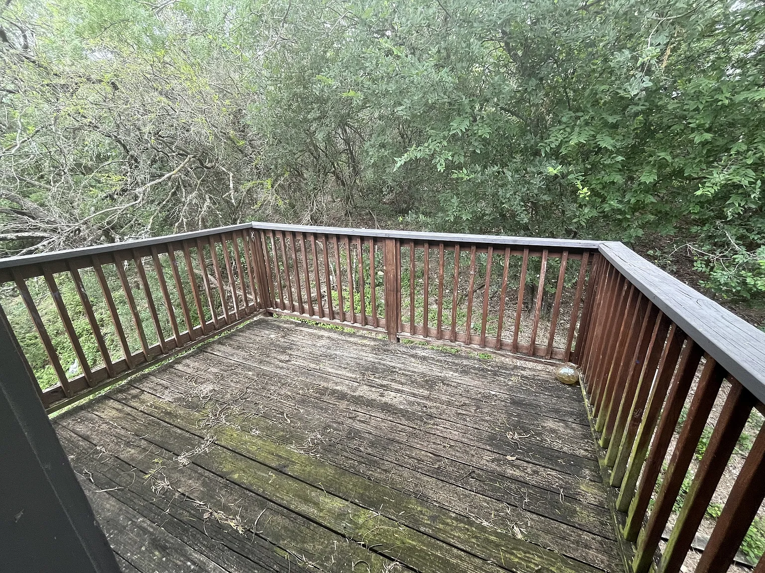 815 Bracewood Cir — Photo 4