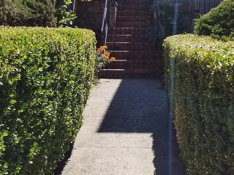 196 Orange St — Photo 3