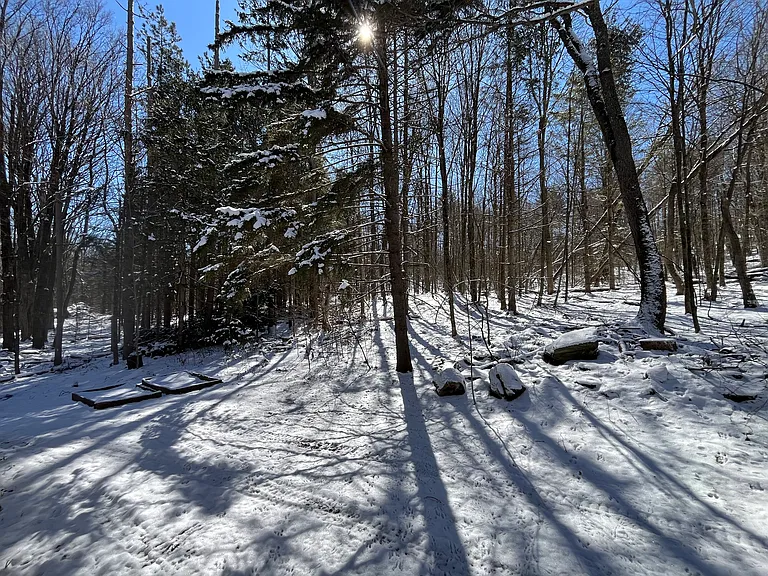 Mason Hl N — Photo 27