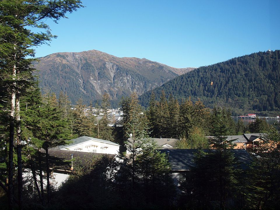 View from Living Room