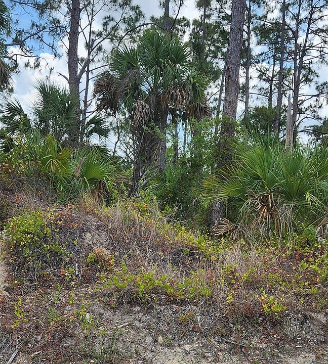 2nd image of MCGINNIS TERRACE LOT 37