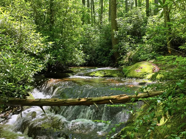 17 Wild River Road, Cashiers, NC 28717