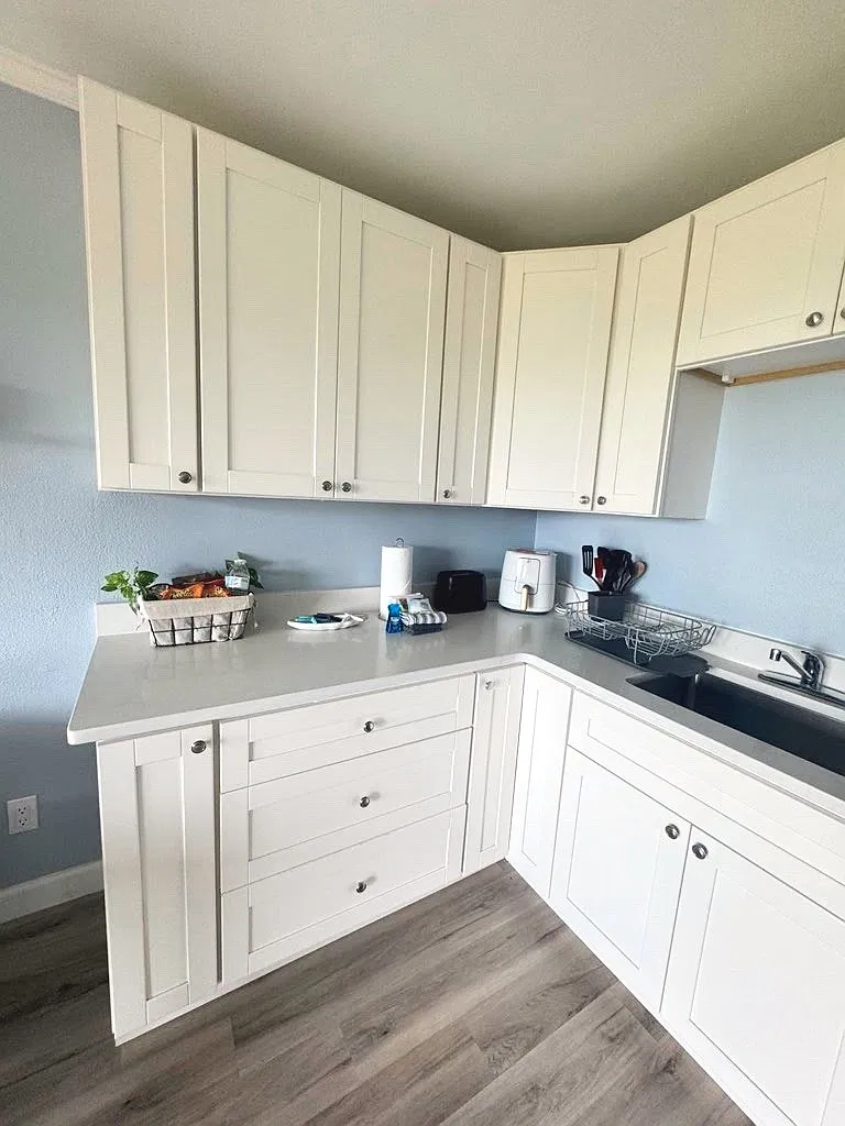1 bed, 540 sqft, $2,000 — Photo 3