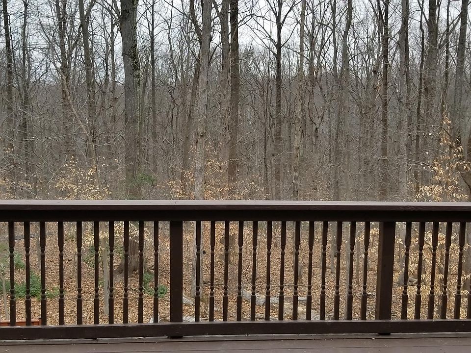 2nd image of 8266 Burning Forest Ct