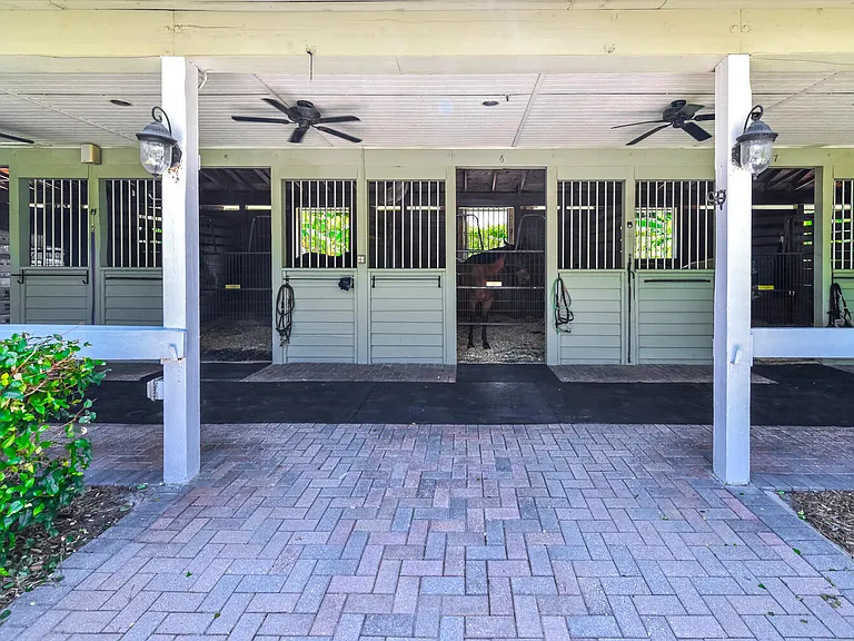2040 Appaloosa Trl — Photo 10