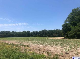 Tbd Timmons Rd, Timmonsville, SC 29161