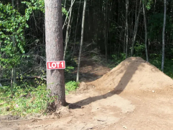 LOT 1 Brch Tree Trl, Spooner, WI 54801