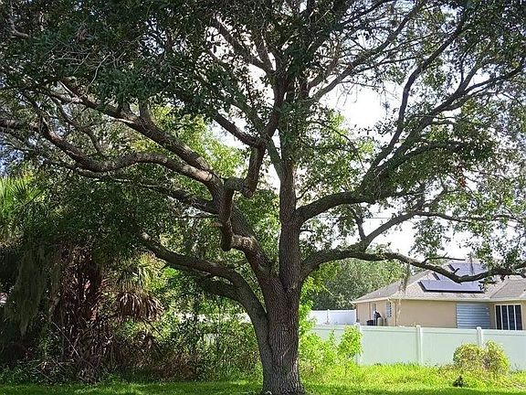3rd image of 7904 Citrus Park Blvd