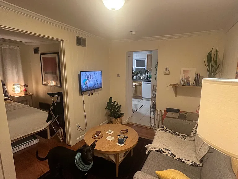 57 Cedar St #5 — Photo 2