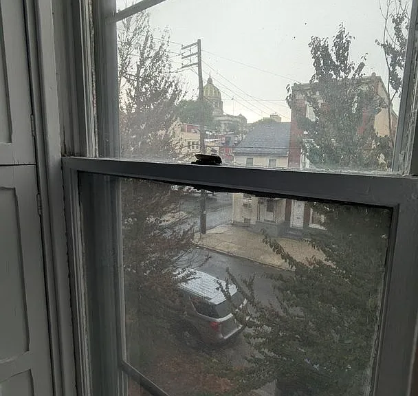 268 Briggs St #3 — Photo 5