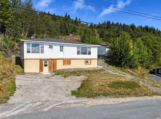 119 Main Road, Bishops Cove, NL A0A3X1