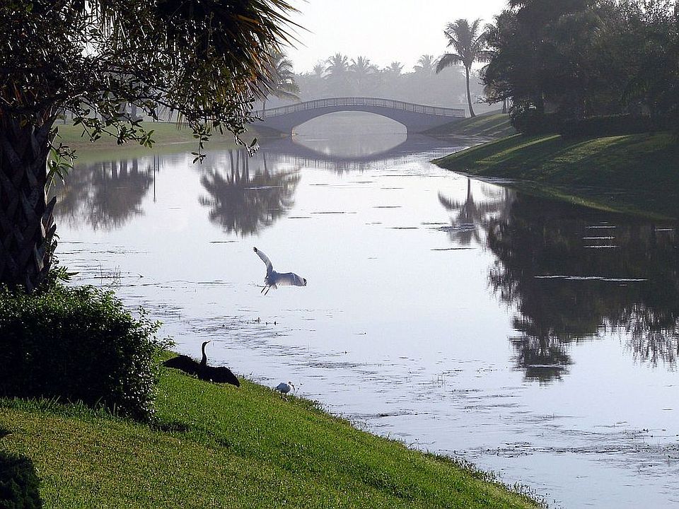 Morning at Pine Island