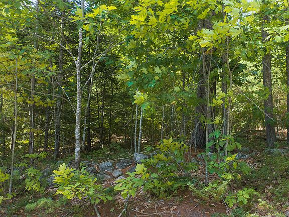 4th image of Lot 1 Bell Hill Road