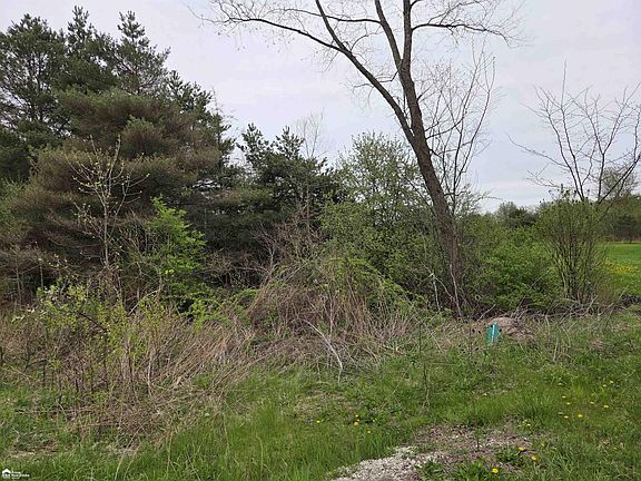 5th image of 11144 N Lewis Rd