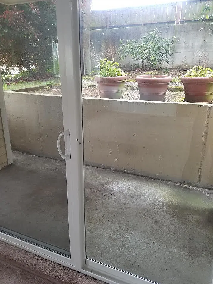 Great Apartment in the Heart of Ballard. — Photo 3
