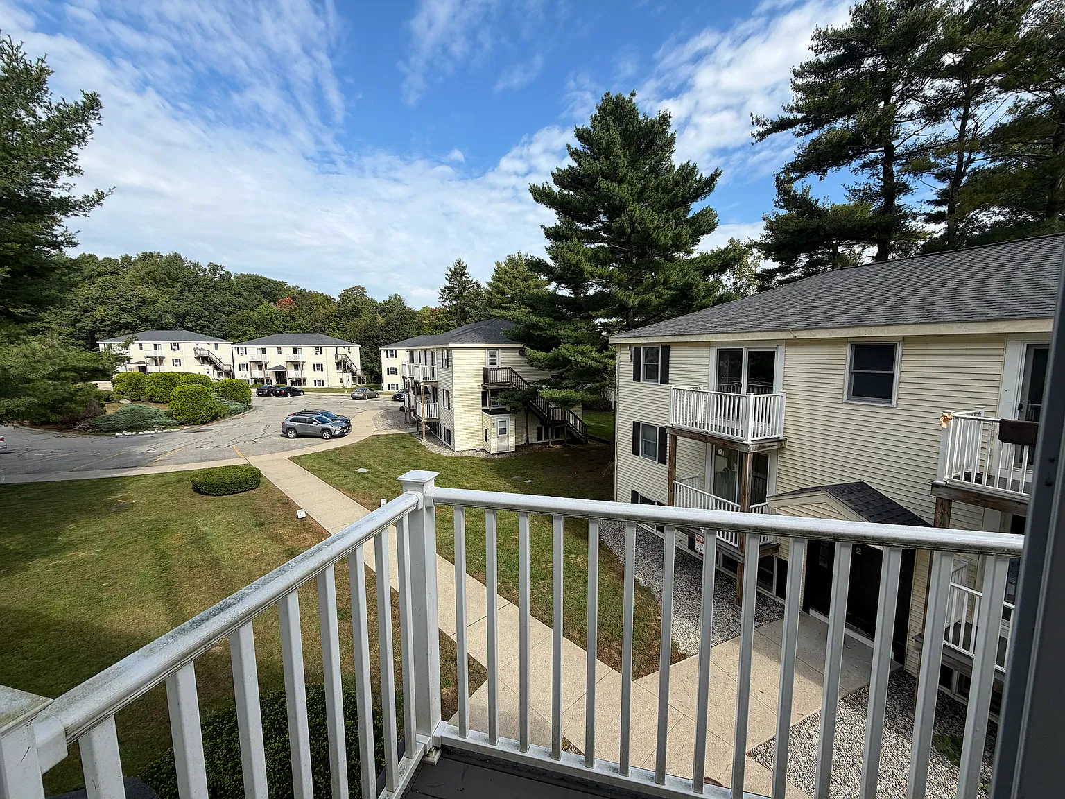 2 bed, 800 sqft, $1,800 — Photo 2