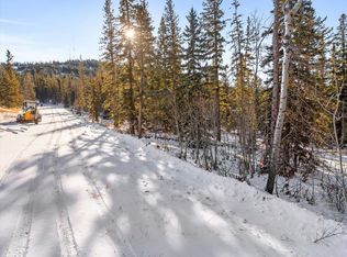 4 Lost Camp Trl, Lead, SD 57754