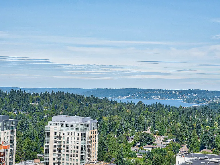 View from exterior living space, penthouse home 3102