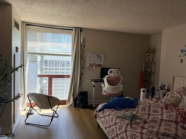 200 N Dearborn St #2906 — Photo 20