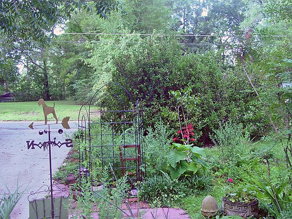 Vacant Lot Across the street