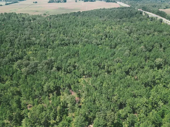 Highway 77 State Rd #3, Talladega, AL 35160