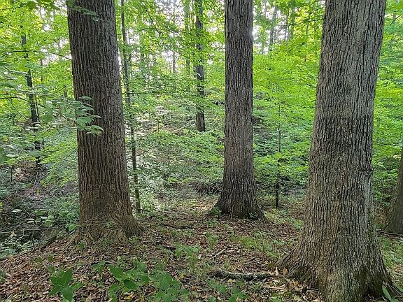 4th image of TRACT 1 County Road 825 S