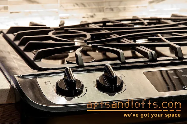 Rented by aptsandlofts.com | media 37