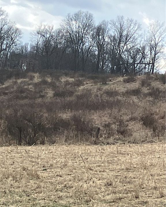 2nd image of County Road 55