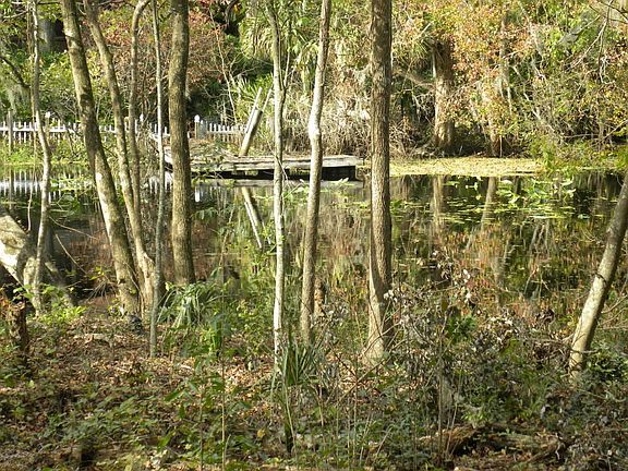 100' Creek Frontage