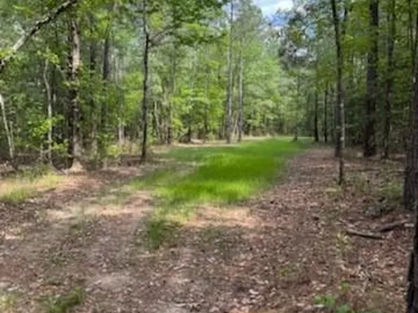 0 Gordy Rd, Tibbie, AL 36583