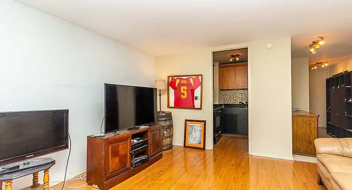 21 W Goethe St #16B — Photo 17