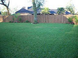 2nd image of 215 Cannon Oak #